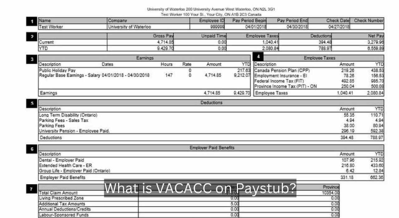 What is Vacacc on Paystub